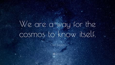  Cosmos: The Way We Look at It 